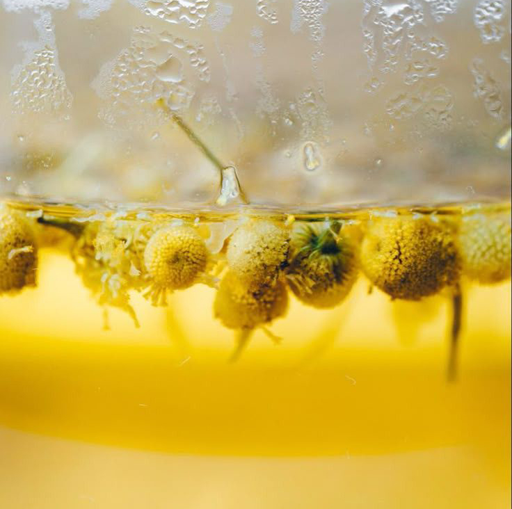 Tea steeping in a cup