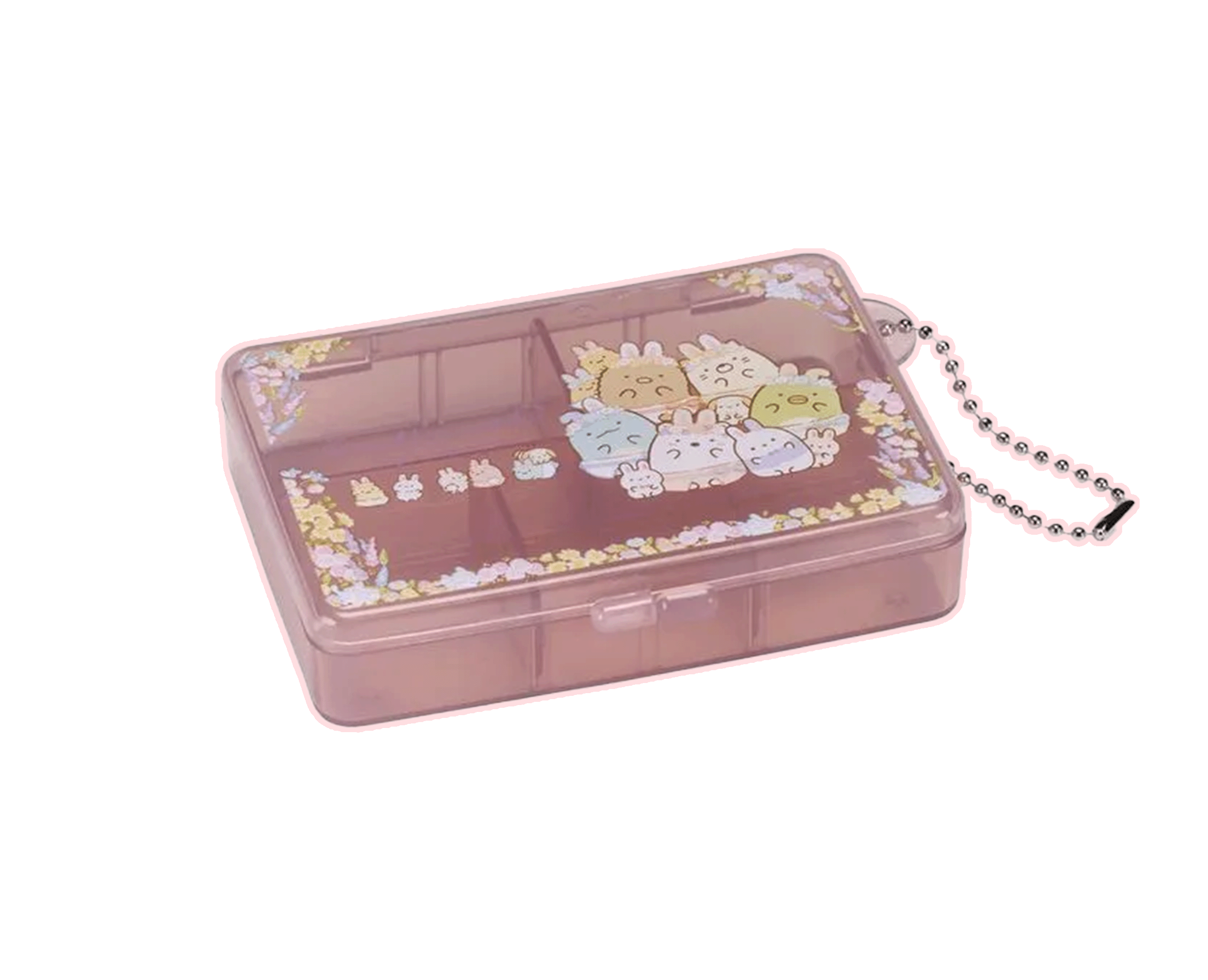 pill or supplement case